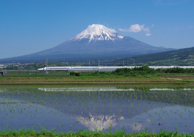 Japan Cruise Tours